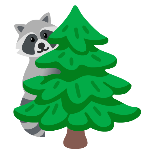 raccoon evergreen tree