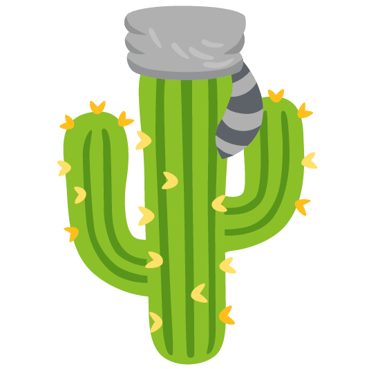 raccoon cactus
