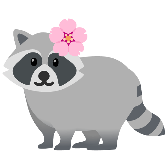 raccoon cherry blossom