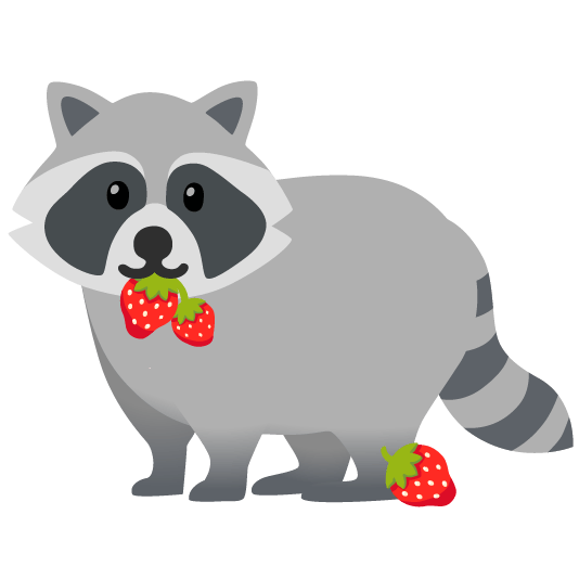 raccoon strawberry