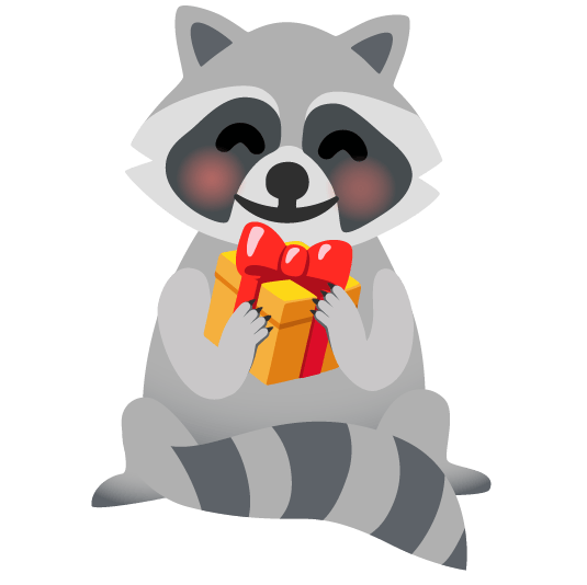raccoon gift