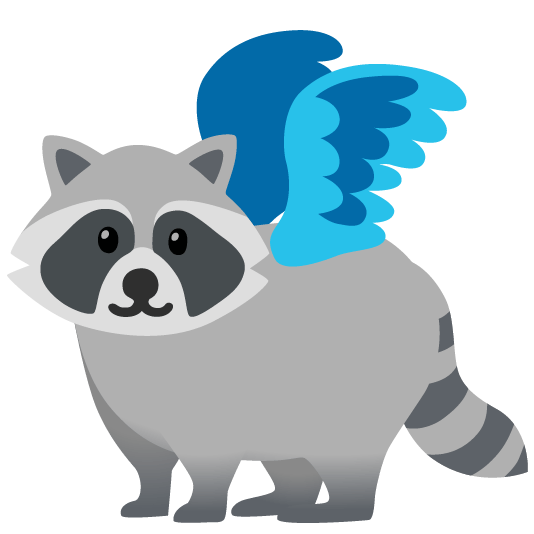 raccoon bird