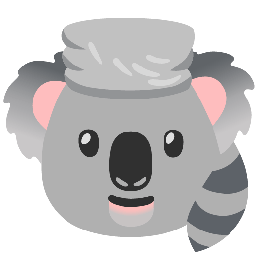 raccoon koala