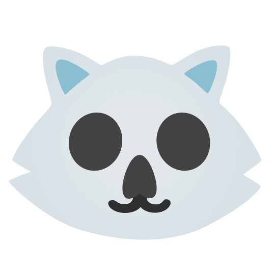 raccoon skull
