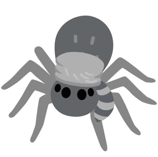 raccoon spider