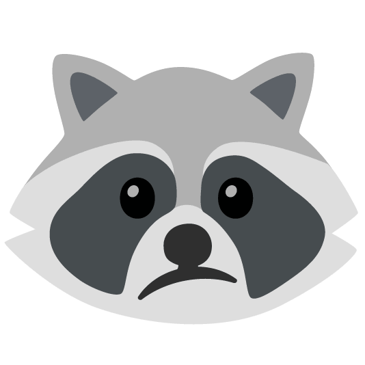 raccoon confused