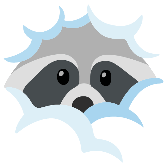 raccoon face in clouds