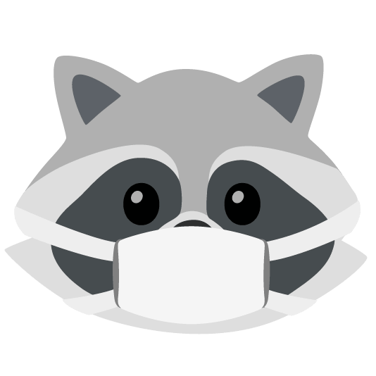 raccoon mask