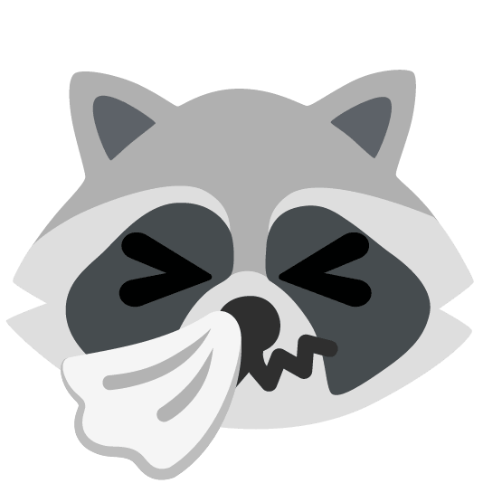 raccoon sneezing face
