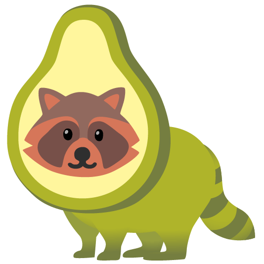 raccoon avocado