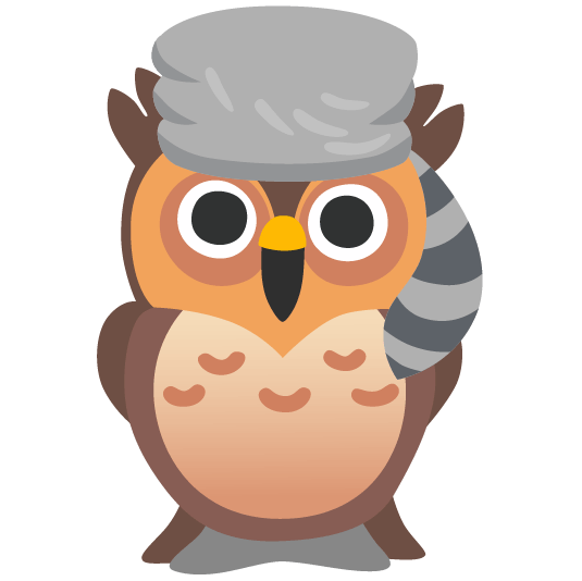 raccoon owl