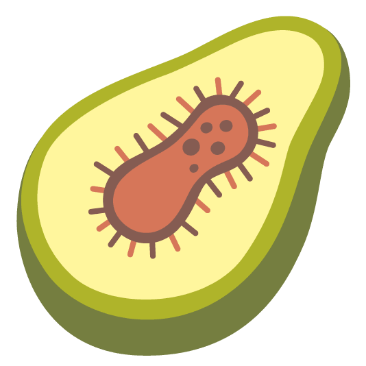 microbe avocado