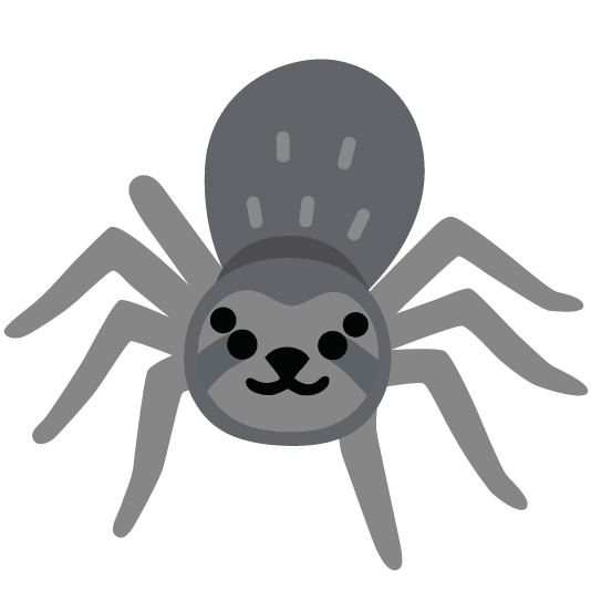 sloth spider