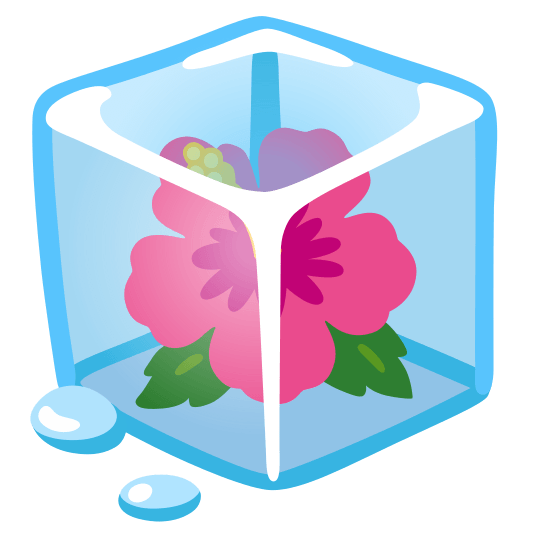 ice cube hibiscus