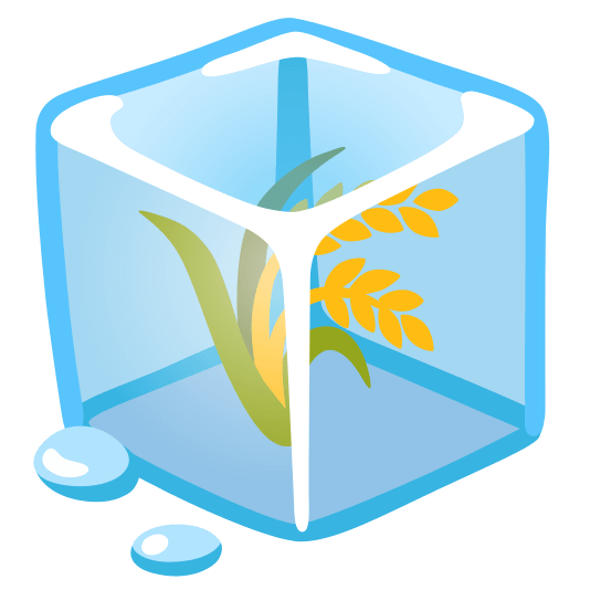 ice cube ear of rice