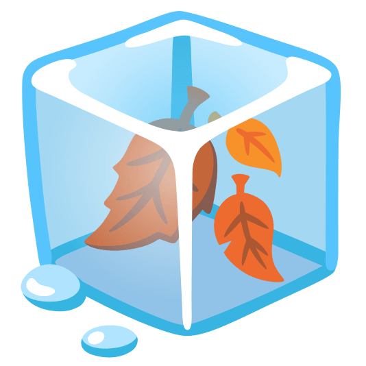 ice cube fallen leaf