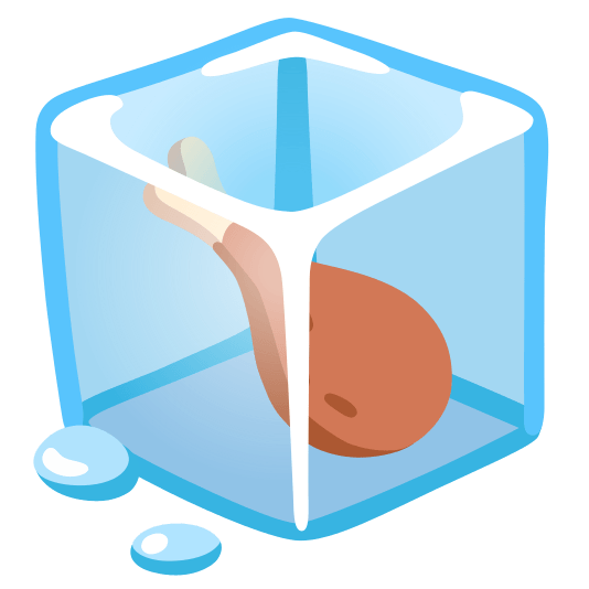 ice cube poultry leg