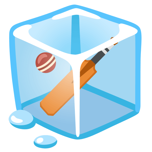 ice cube cricket bat and ball