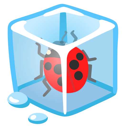 ice cube ladybug