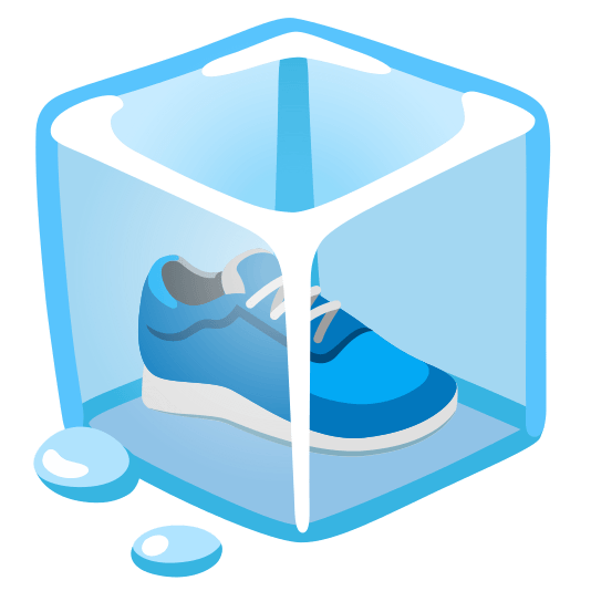 ice cube athletic shoe