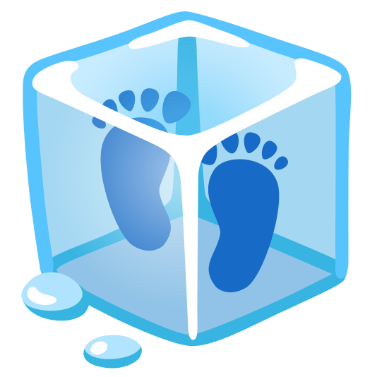 ice cube footprints