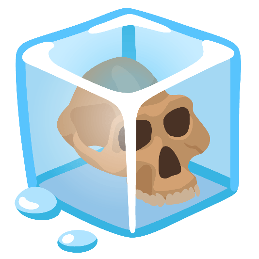ice cube skull