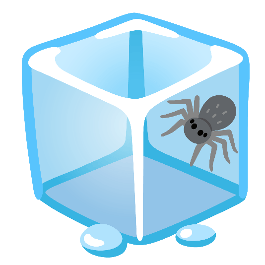 ice cube spider