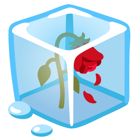 ice cube wilted flower
