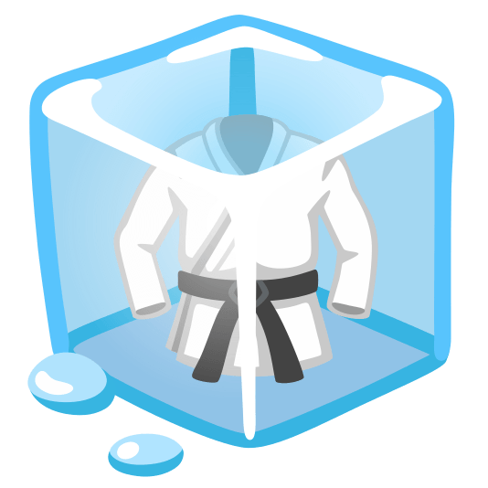 ice cube martial arts uniform
