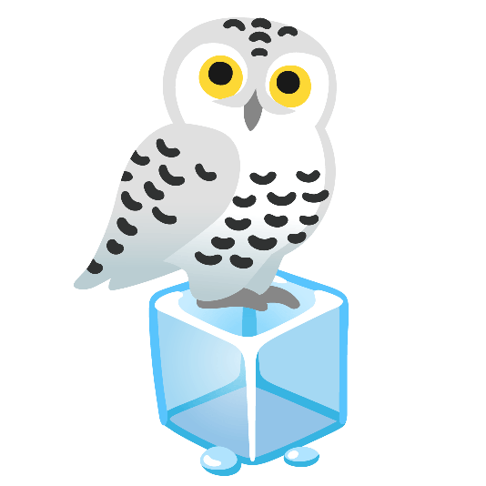 ice cube owl