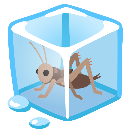 ice cube cricket