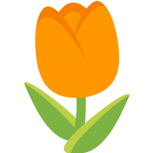 orange heart tulip