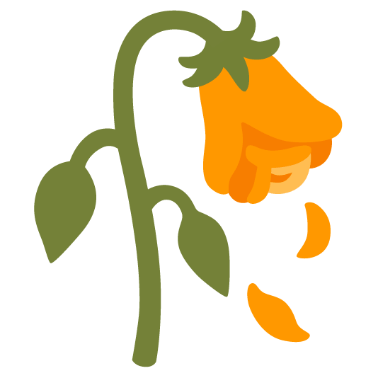 orange heart wilted flower