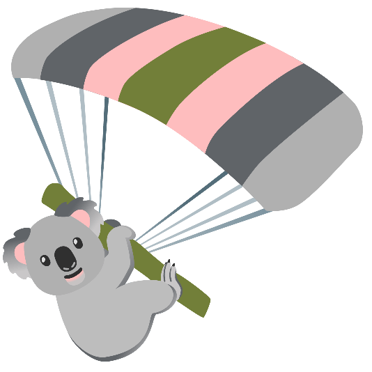 parachute koala