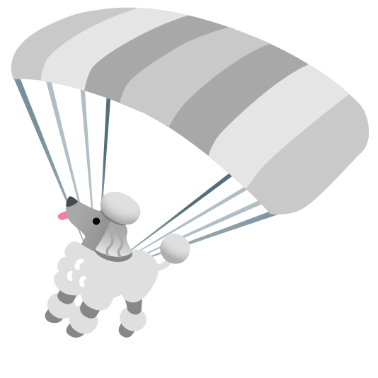 parachute poodle