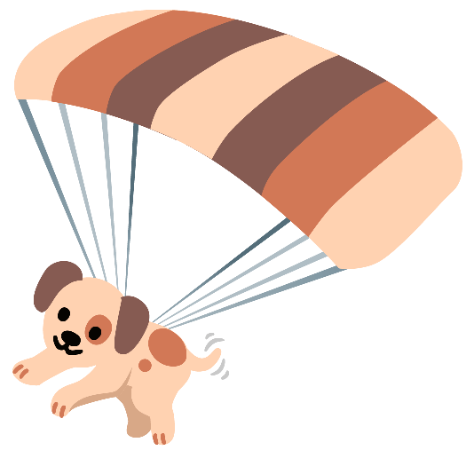 parachute dog