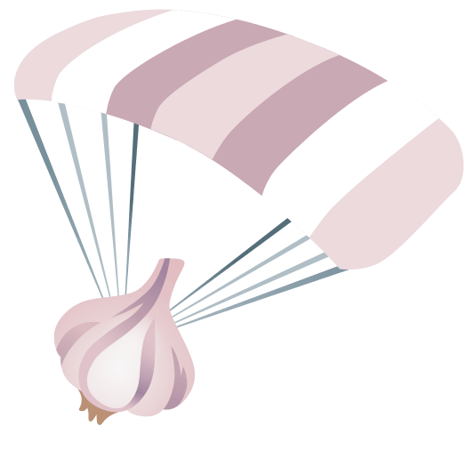 parachute garlic