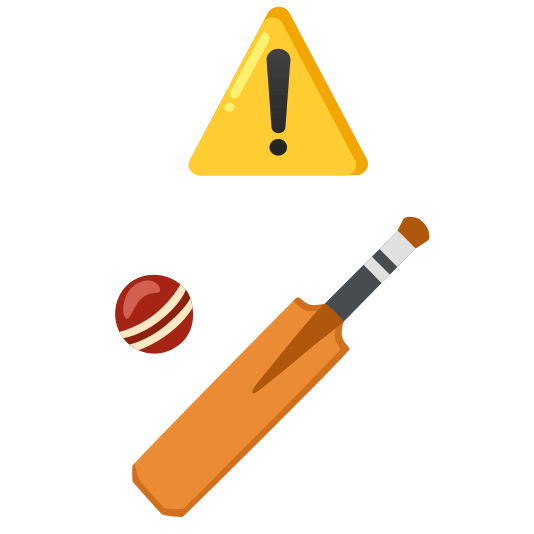 warning cricket bat and ball