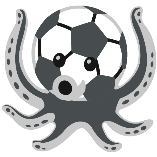 soccer octopus