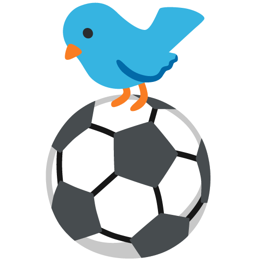 soccer bird