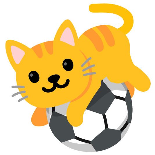 soccer cat