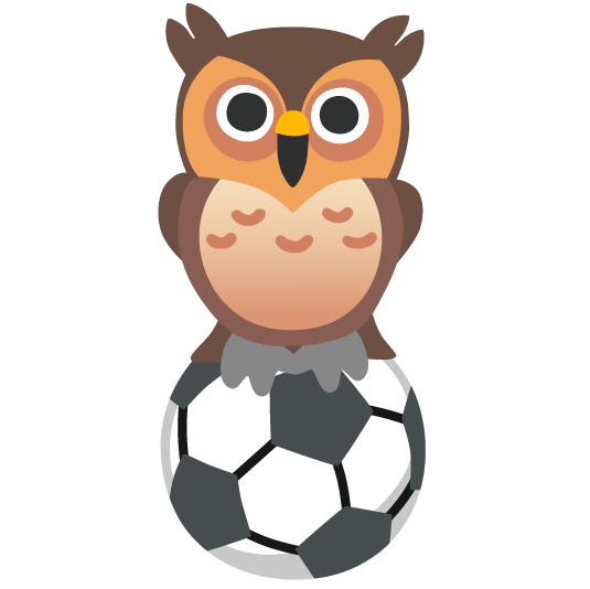 soccer owl