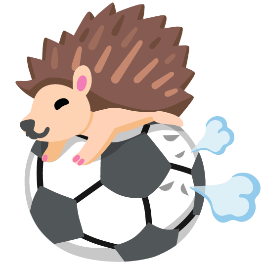 soccer hedgehog