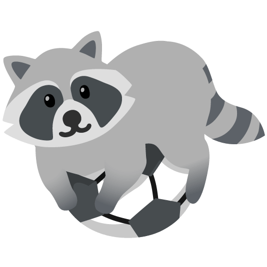 soccer raccoon