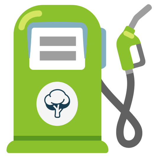 fuelpump deciduous tree