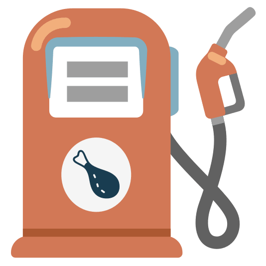 fuelpump poultry leg