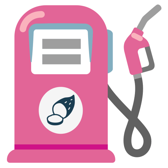 fuelpump sweet potato