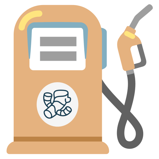 fuelpump ginger root