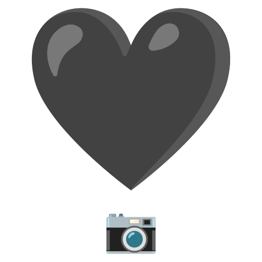 heavy heart exclamation mark ornament camera