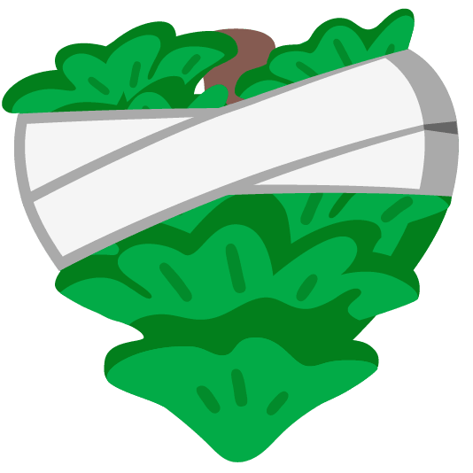 mending heart evergreen tree